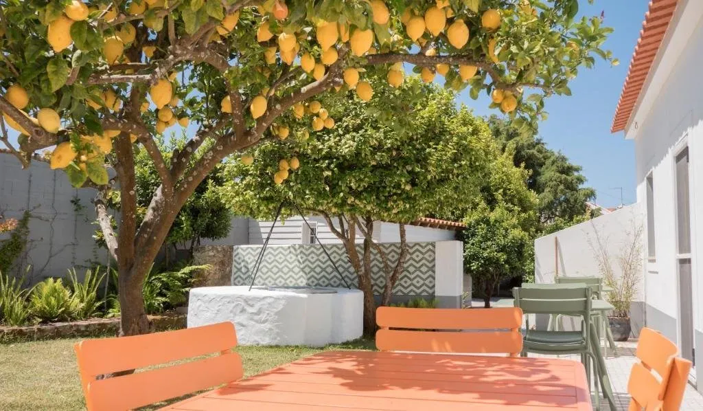 Flamboyant Boutique - Foz do Arelho