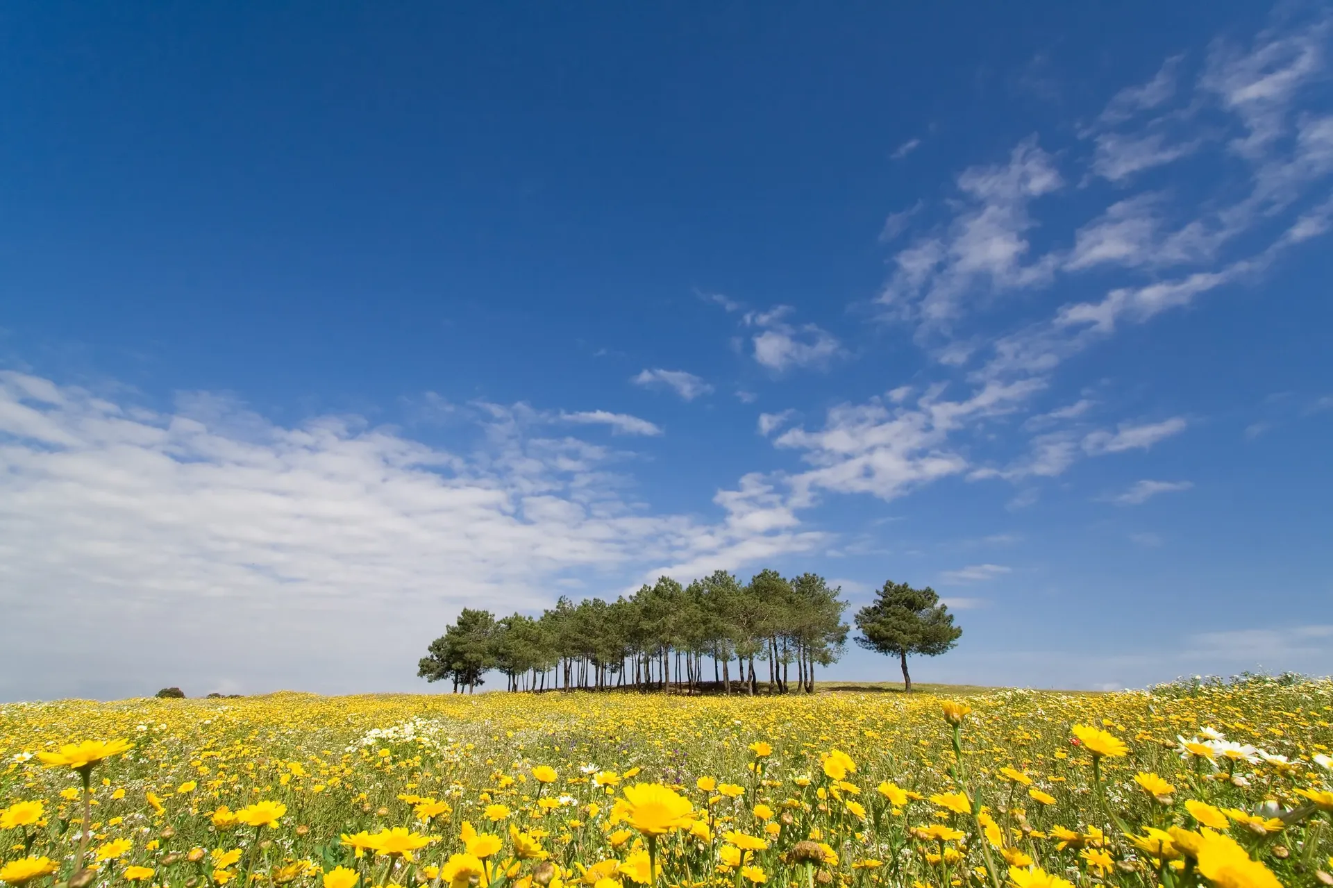 Portugal - Alentejo - Diversen