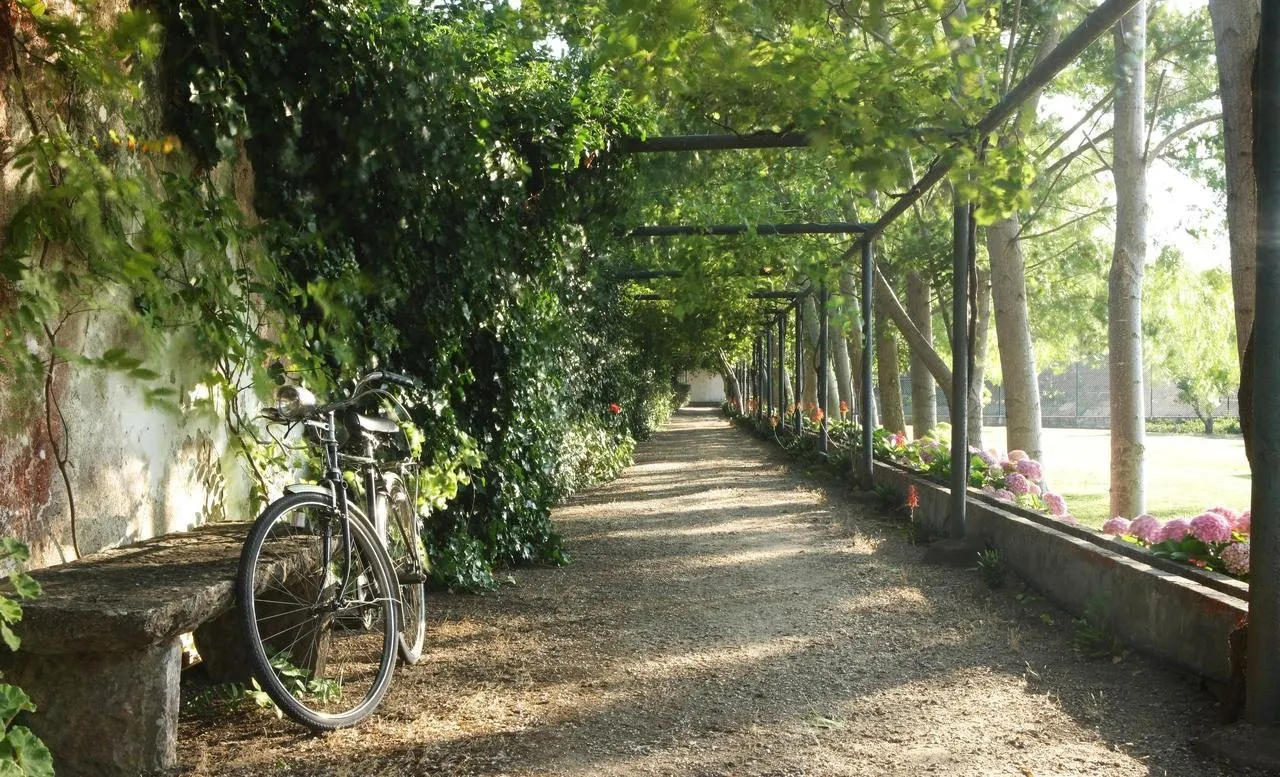 Quinta da Praia das Fontes - Alcochete
