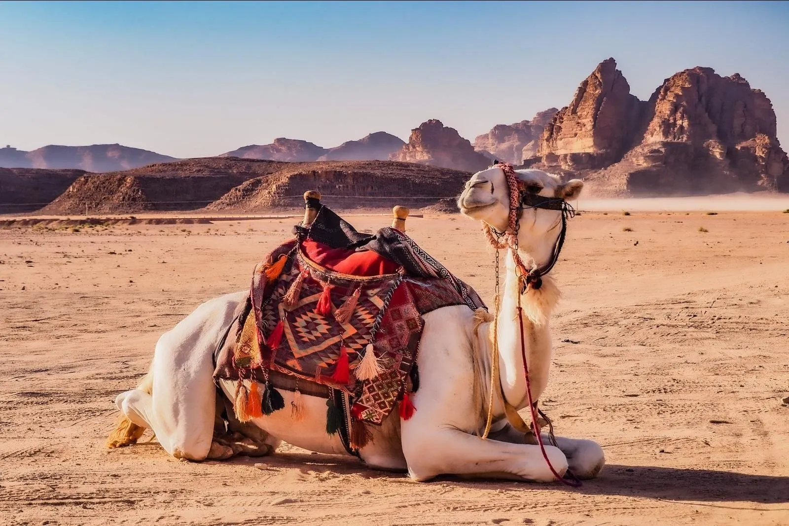 Wadi Rum