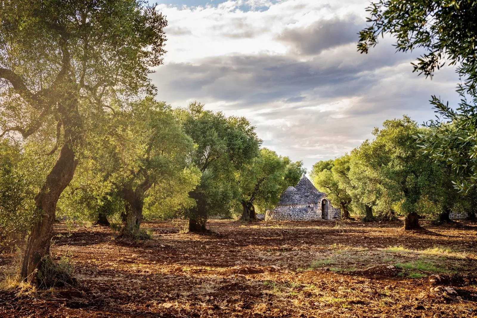 Fly-drive Ontdek Puglia 11 dagen