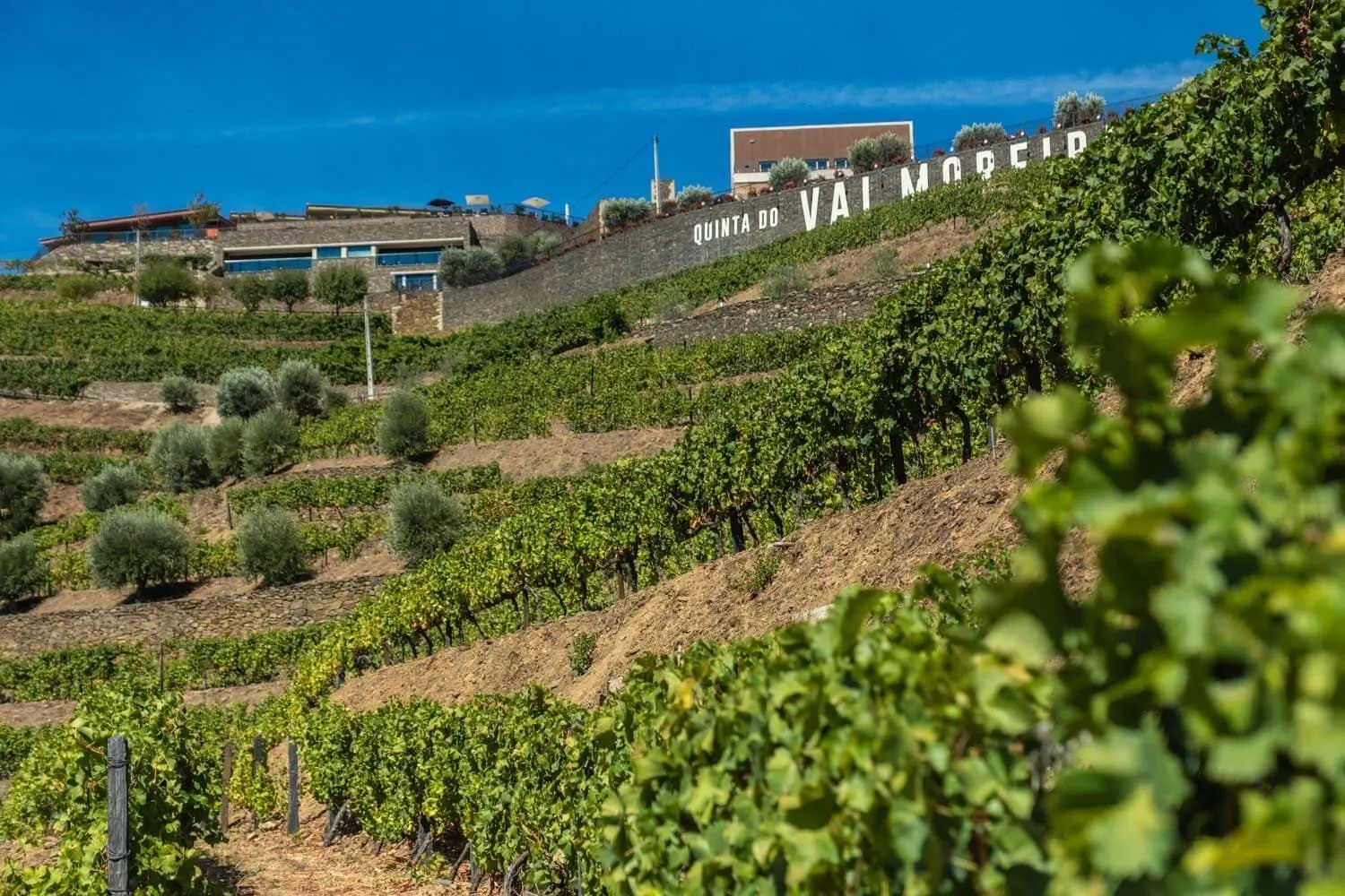 Vila Galé Douro Vineyards - Pinhao