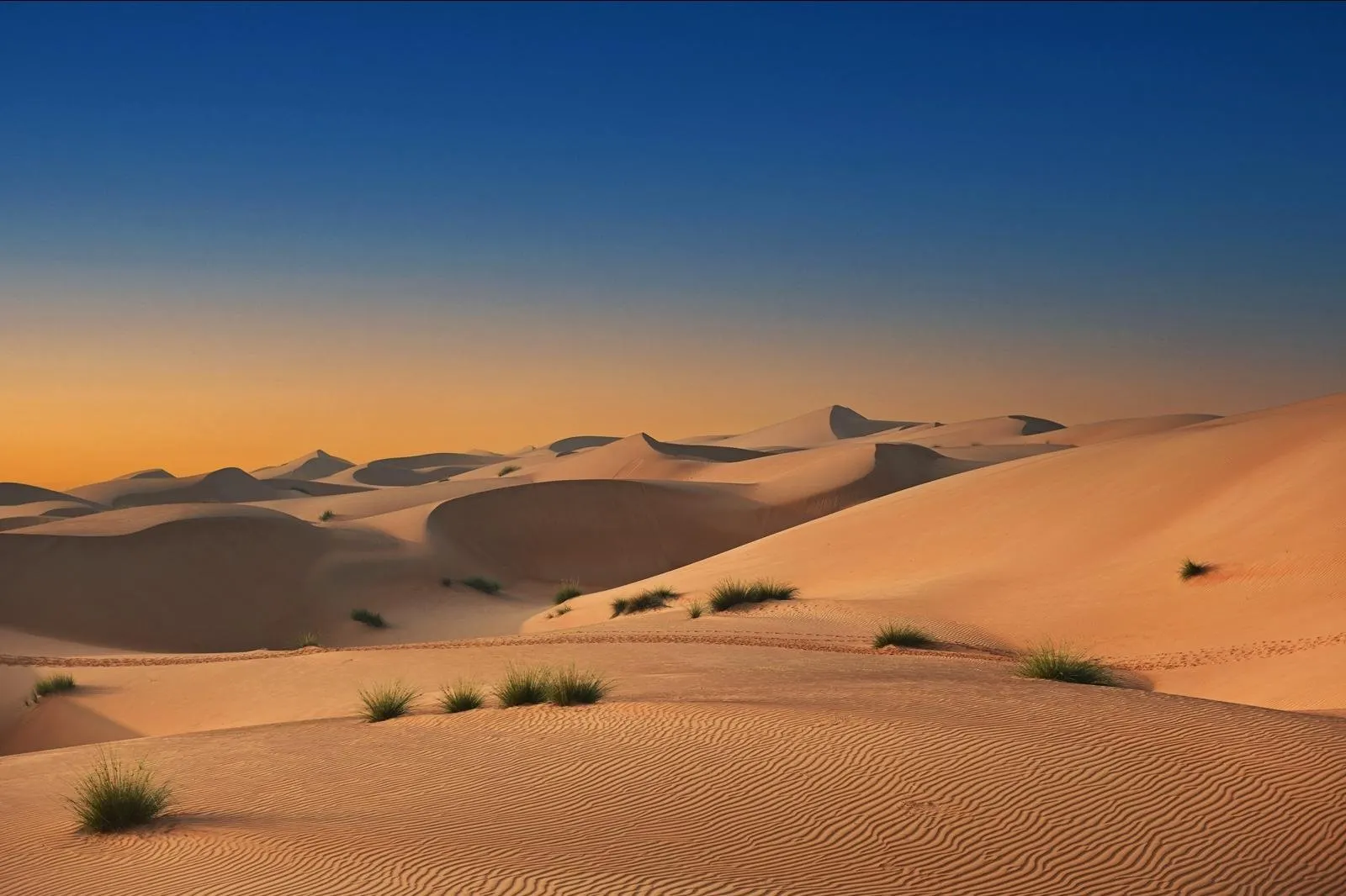 Sportief & Avontuurlijk Oman