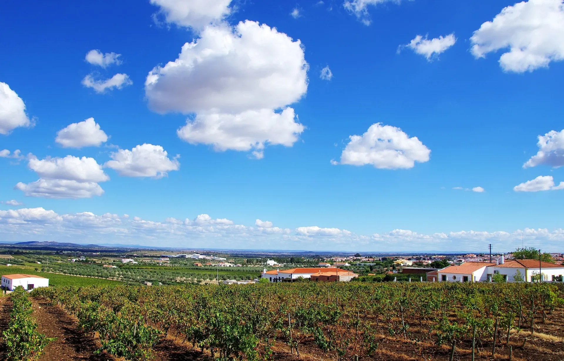 Portugal - Alentejo - Monzaras