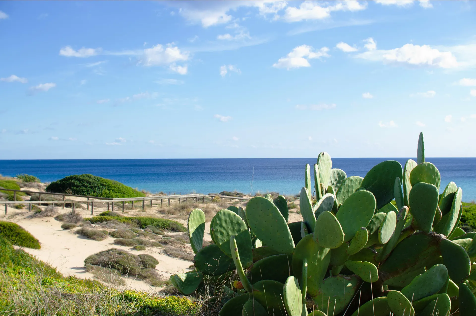 Duinen in Salento, Puglia