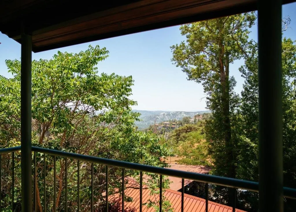 Petit Palais Boutique hotel - Platres