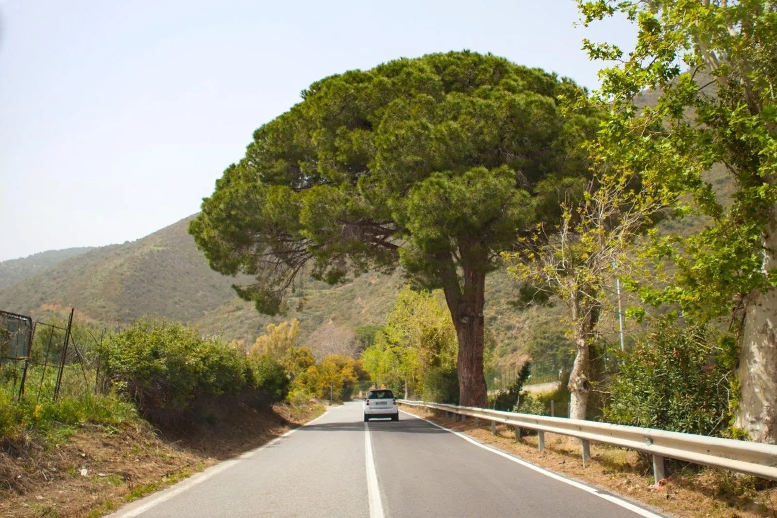 Fly-drive Ontdek Sicilië