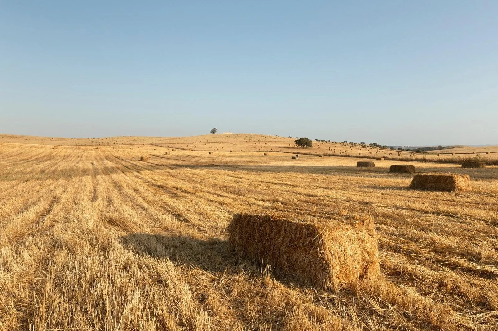 Fly-drive Portugal deluxe (hotels) 12 dagen