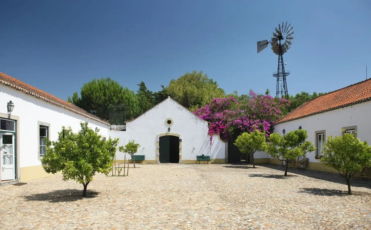 Quinta da Praia das Fontes - Alcochete