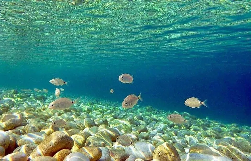 Paxos - onderwaterwereld