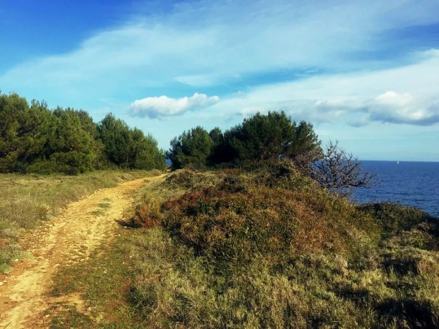 Wandelpad onderweg