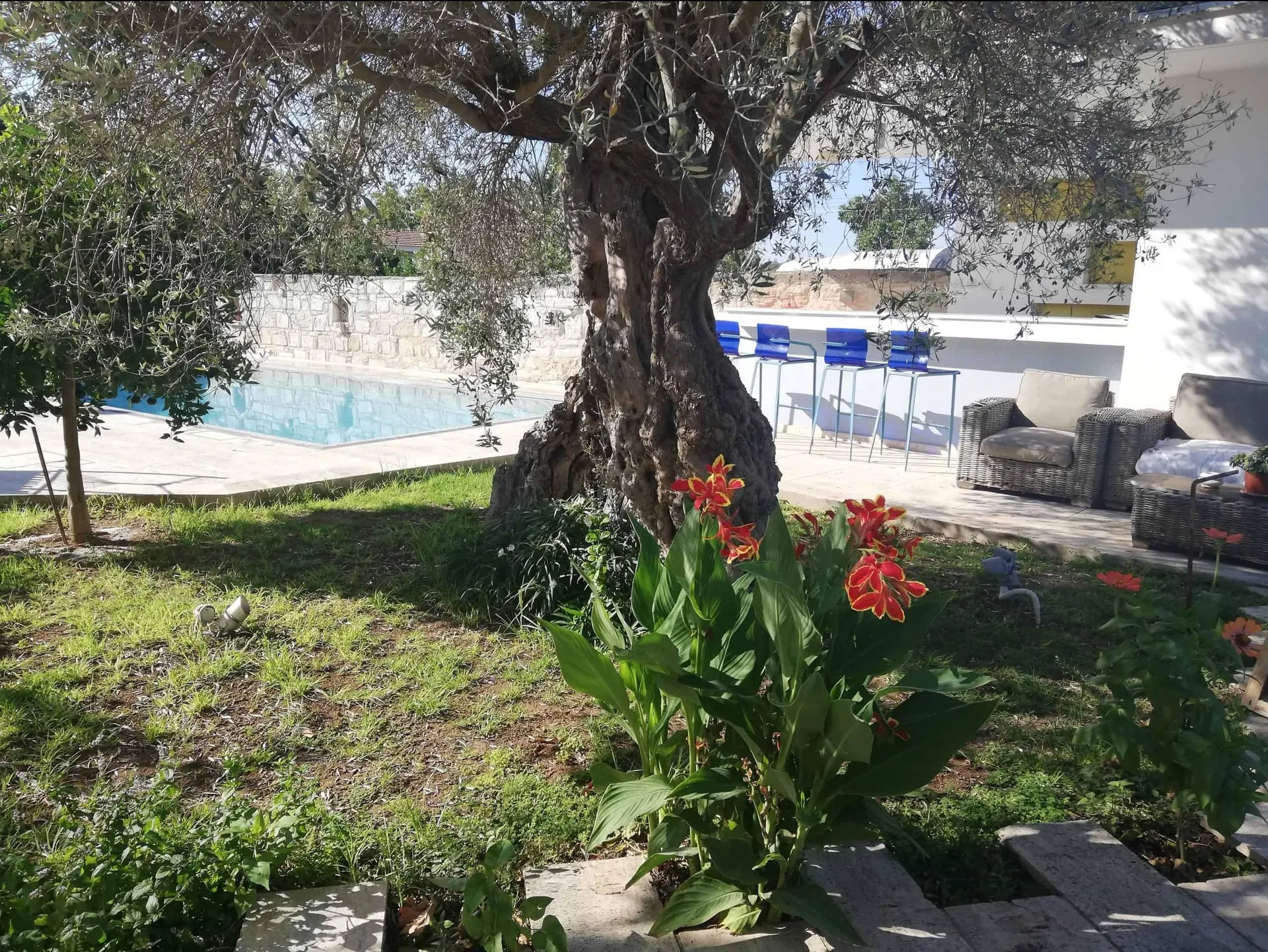 Kaizer Agrotourism Boutique Suites - Amargeti