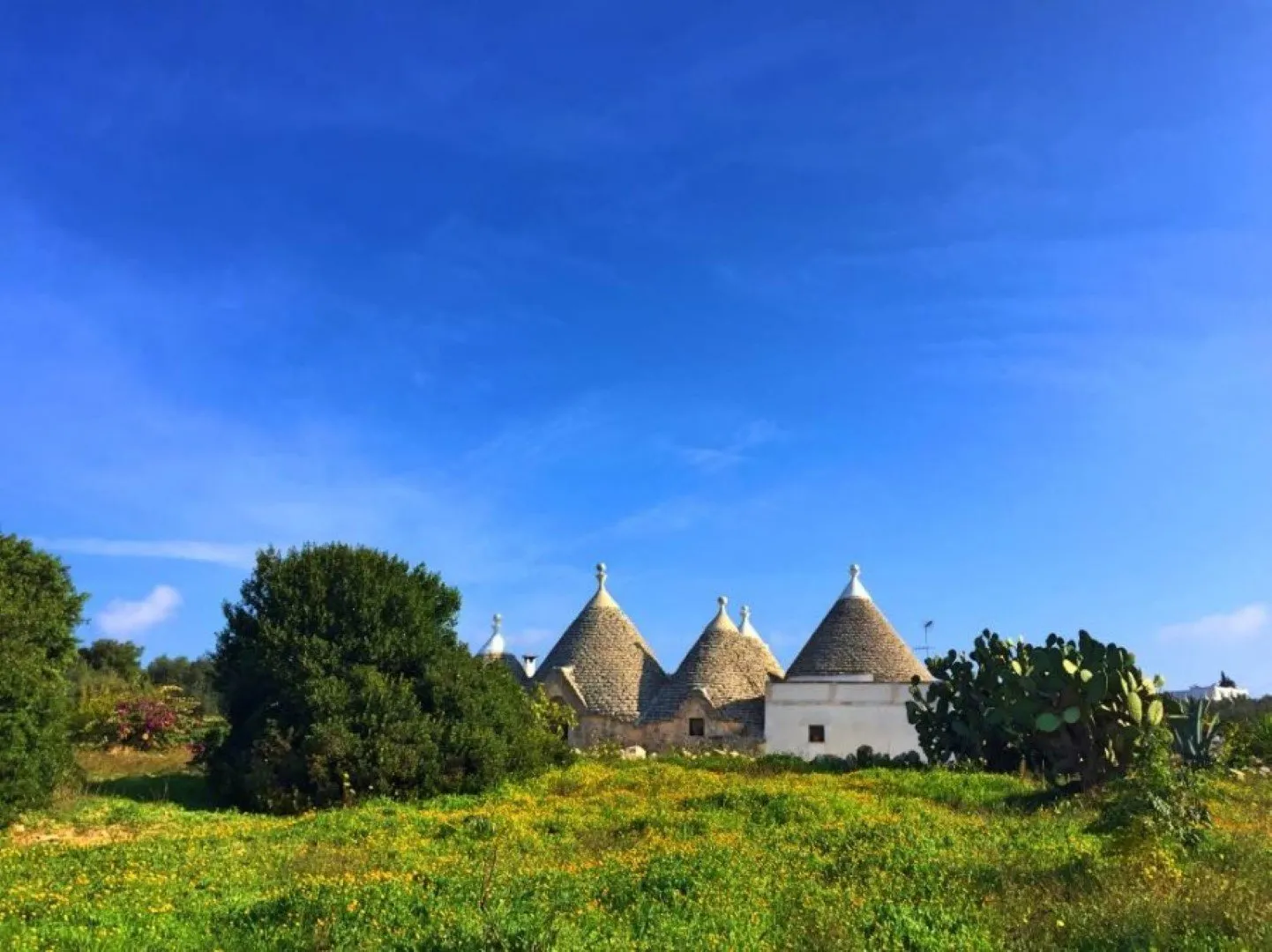 trulli in landschap puglia italie