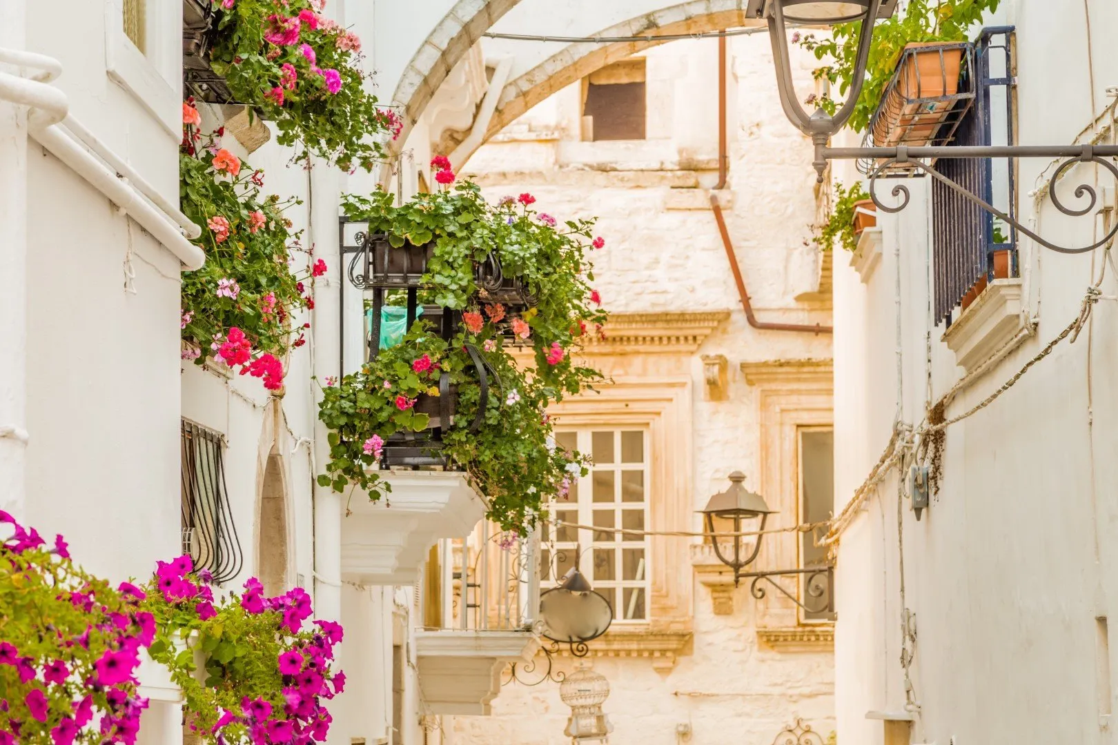 locorotondo bloemen bij witte huisjes - puglia - italie