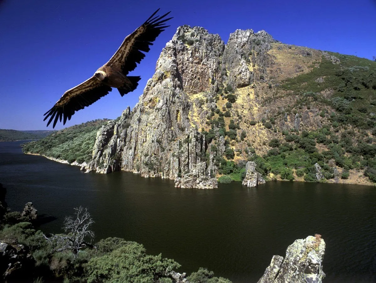 Monfrague