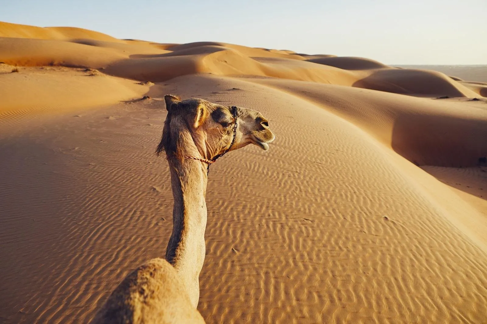 Fly-drive Klassiek Oman