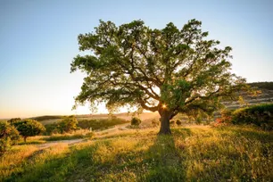 Fly-drive 'De Mooiste Wegen van de Alentejo' in 8 dagen
