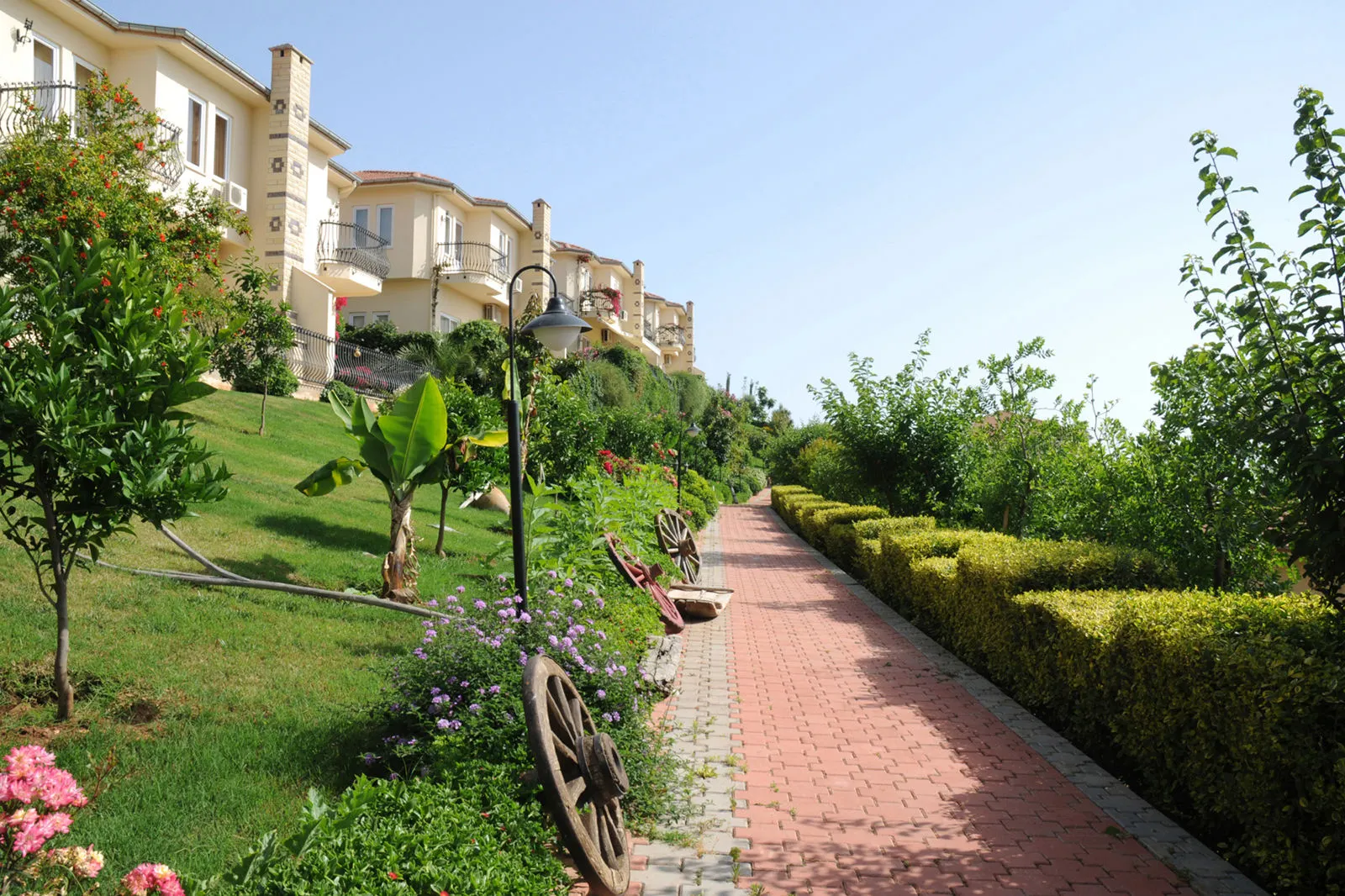 Gold City Hotel