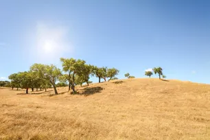 Fly-drive Ontdek Alentejo met Vila Galé